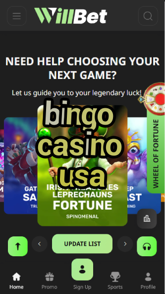 Bingo Casino USA - Best US Bingo Halls 2024-casinoorder.vip