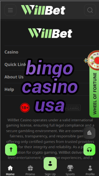 Bingo Casino USA - Best US Bingo Halls 2024-casinoorder.vip