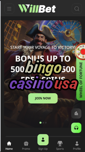 Bingo Casino USA - Best US Bingo Halls 2024-casinoorder.vip